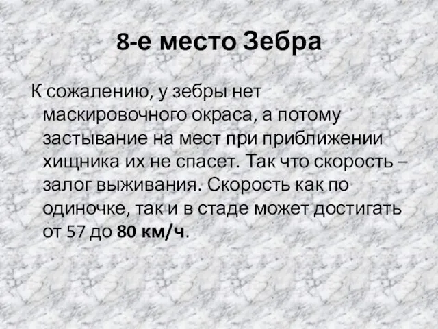 8-е место Зебра К сожалению, у зебры нет маскировочного окраса,