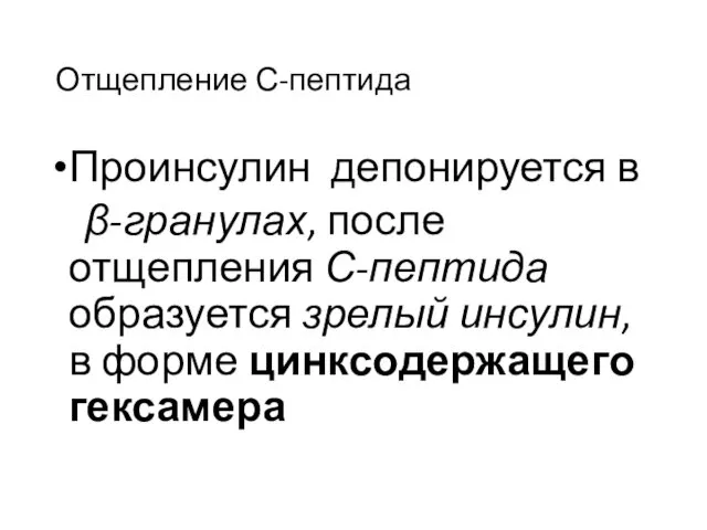 Отщепление С-пептида Проинсулин депонируется в β-гранулах, после отщепления С-пептида образуется зрелый инсулин, в форме цинксодержащего гексамера