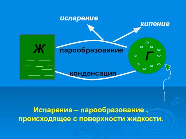 Ж Г парообразование конденсация кипение испарение Испарение – парообразование , происходящее с поверхности жидкости.