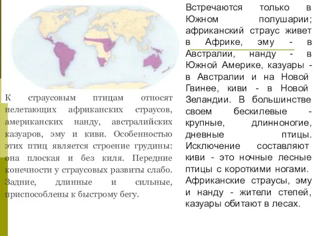 К страусовым птицам относят нелетающих африканских страусов, американских нанду, австралийских