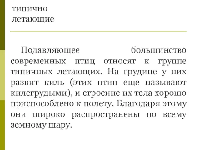 типично летающие Подавляющее большинство современных птиц относят к группе типичных