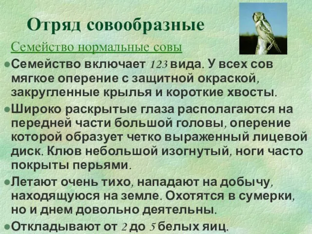 Отряд совообразные Семейство нормальные совы Семейство включает 123 вида. У