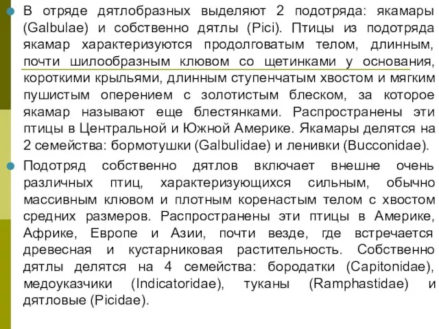 В отряде дятлобразных выделяют 2 подотряда: якамары (Galbulae) и собственно