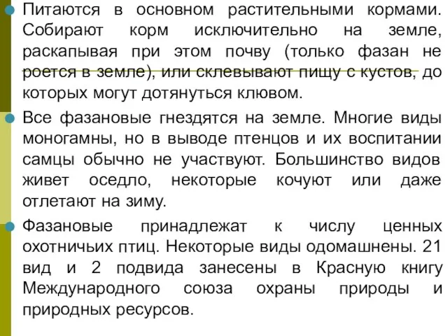 Питаются в основном растительными кормами. Собирают корм исключительно на земле,