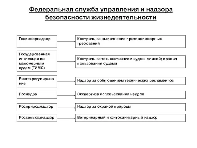 Федеральная служба управления и надзора безопасности жизнедеятельности