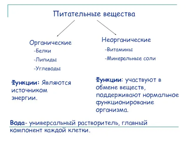 Питательные вещества Органические Неорганические -Белки -Липиды -Углеводы -Витамины -Минеральные соли