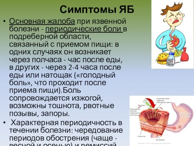 Симптомы ЯБ Основная жалоба при язвенной болезни - периодические боли