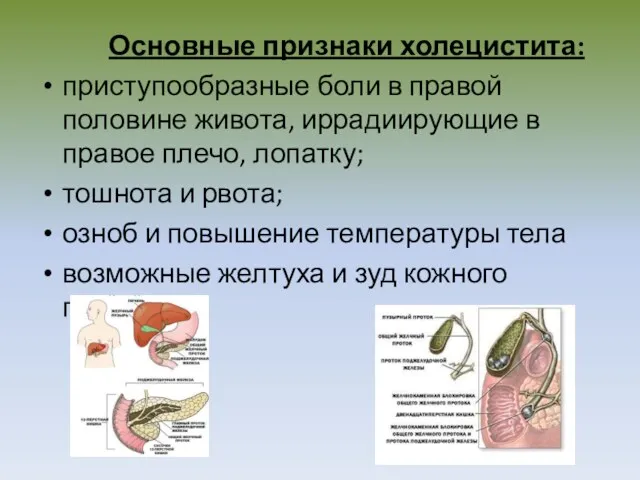 Основные признаки холецистита: приступообразные боли в правой половине живота, иррадиирующие