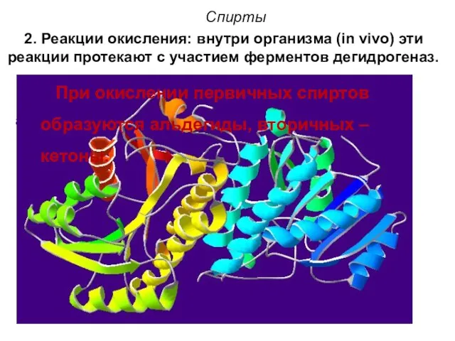 Спирты 2. Реакции окисления: внутри организма (in vivo) эти реакции