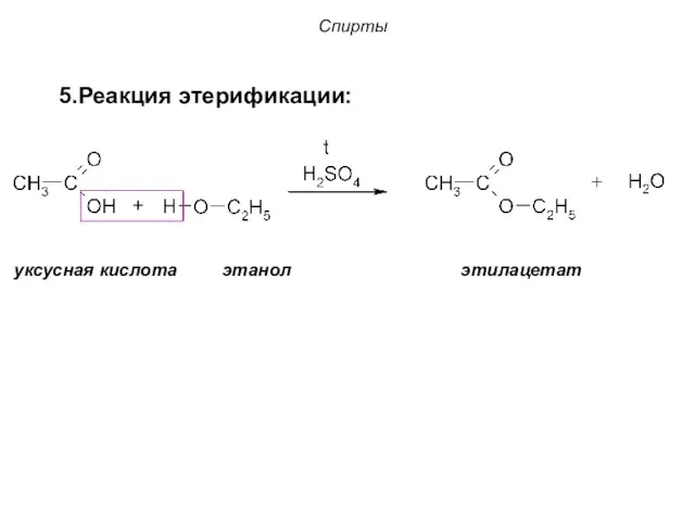 Спирты уксусная кислота этанол этилацетат 5.Реакция этерификации: