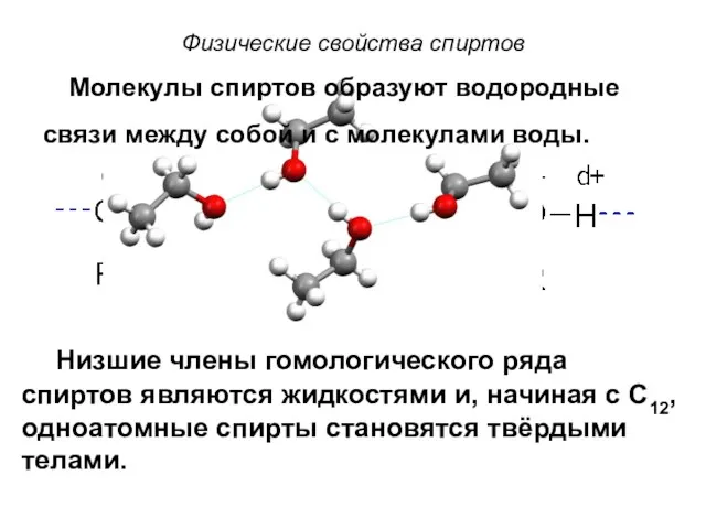 Физические свойства спиртов Низшие члены гомологического ряда спиртов являются жидкостями