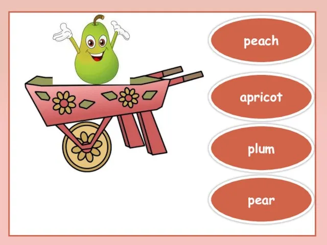 plum pear apricot peach