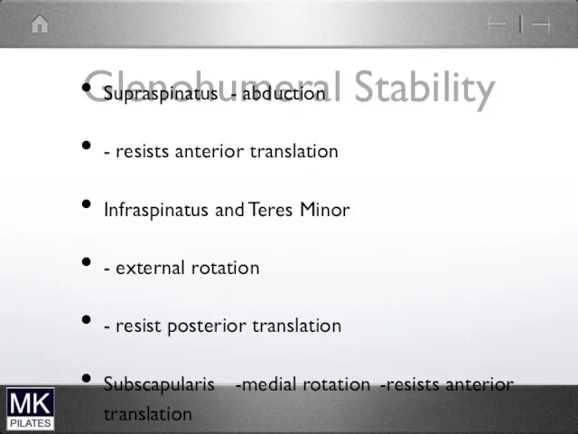 Glenohumeral Stability Supraspinatus - abduction - resists anterior translation Infraspinatus