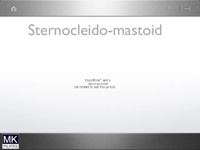 Sternocleido-mastoid