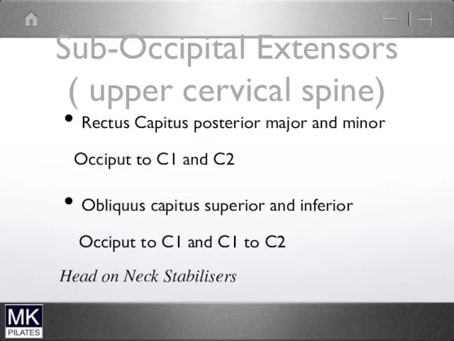 Sub-Occipital Extensors ( upper cervical spine) Rectus Capitus posterior major