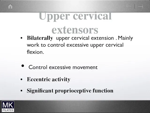 Upper cervical extensors Bilaterally upper cervical extension . Mainly work