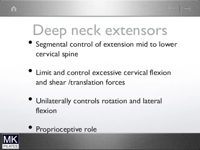 Deep neck extensors Segmental control of extension mid to lower