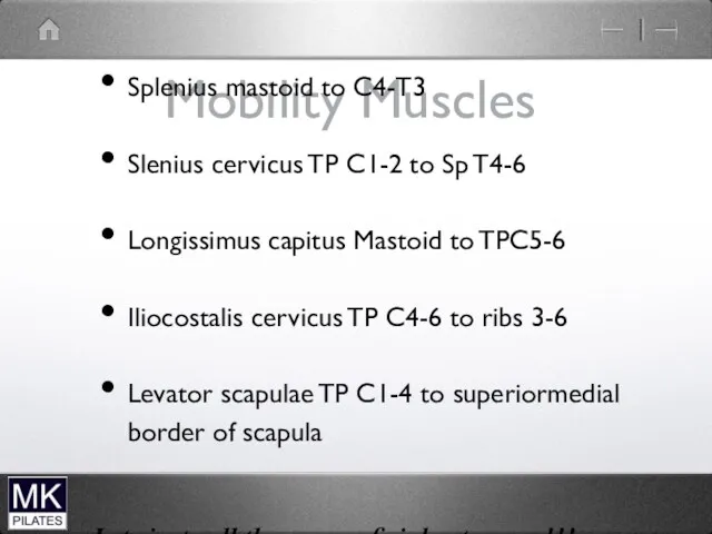 Mobility Muscles Splenius mastoid to C4-T3 Slenius cervicus TP C1-2