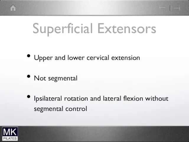 Superficial Extensors Upper and lower cervical extension Not segmental Ipsilateral