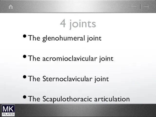 4 joints The glenohumeral joint The acromioclavicular joint The Sternoclavicular joint The Scapulothoracic articulation