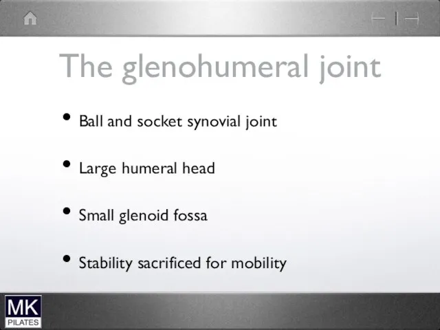 The glenohumeral joint Ball and socket synovial joint Large humeral