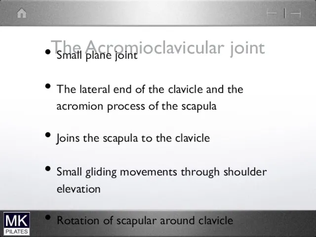 The Acromioclavicular joint Small plane joint The lateral end of