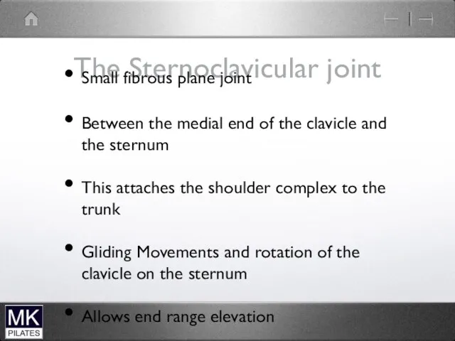 The Sternoclavicular joint Small fibrous plane joint Between the medial