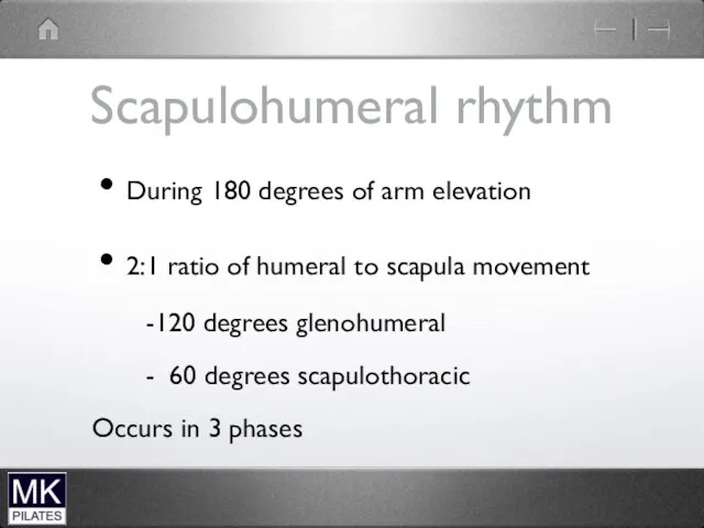 Scapulohumeral rhythm During 180 degrees of arm elevation 2:1 ratio