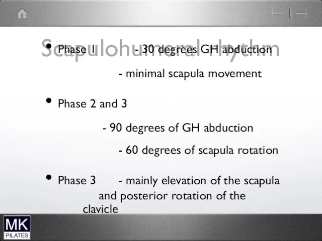 Scapulohumeral rhythm Phase 1 - 30 degrees GH abduction -