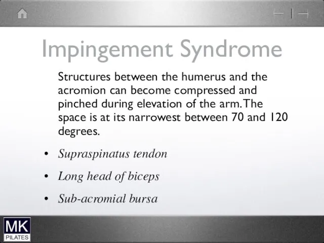 Impingement Syndrome Structures between the humerus and the acromion can