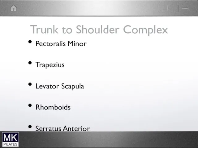 Trunk to Shoulder Complex Pectoralis Minor Trapezius Levator Scapula Rhomboids Serratus Anterior