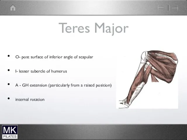 Teres Major O- post surface of inferior angle of scapular