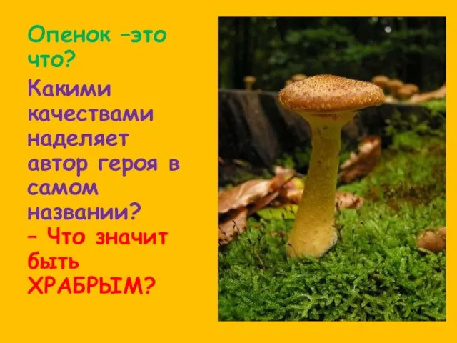 Опенок –это что? Какими качествами наделяет автор героя в самом названии? – Что значит быть ХРАБРЫМ?