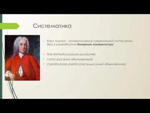 Систематика Карл Линней – основоположник современной систематики. Ввел в употребление