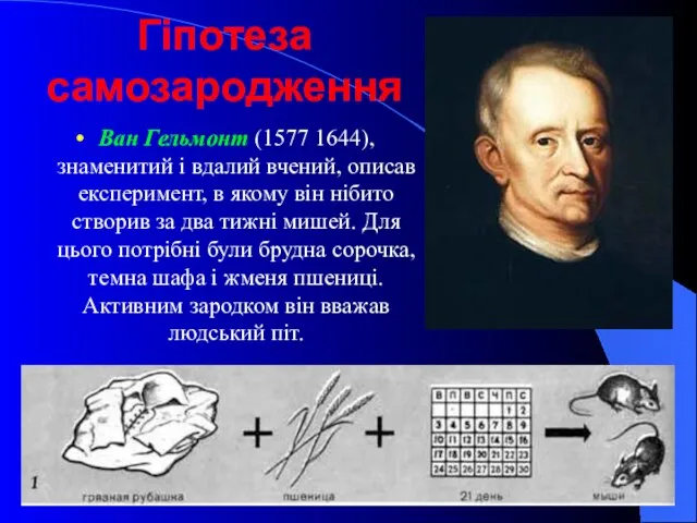 Гіпотеза самозародження Ван Гельмонт (1577 1644), знаменитий і вдалий вчений,