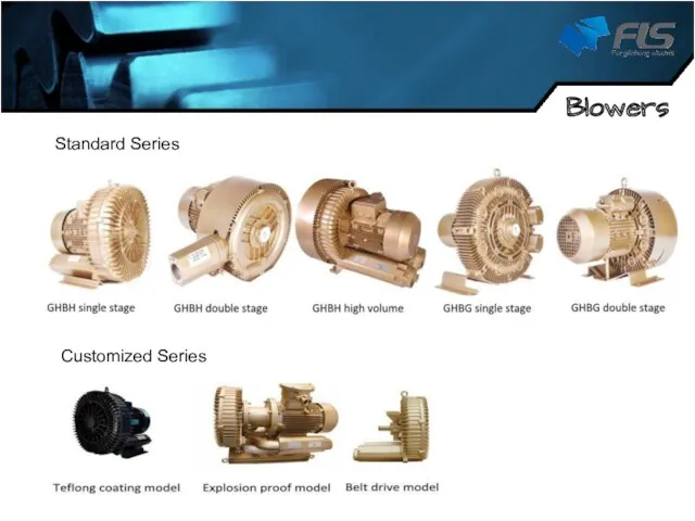 Blowers Standard Series Customized Series