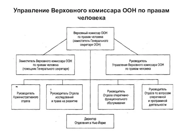 Управление Верховного комиссара ООН по правам человека