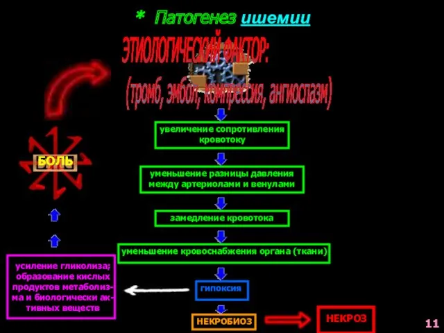 * Патогенез ишемии ЭТИОЛОГИЧЕСКИЙ ФАКТОР: (тромб, эмбол, компрессия, ангиоспазм) увеличение