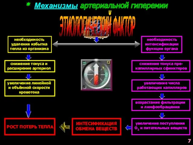 * Механизмы артериальной гиперемии ЭТИОЛОГИЧЕСКИЙ ФАКТОР необходимость удаления избытка тепла