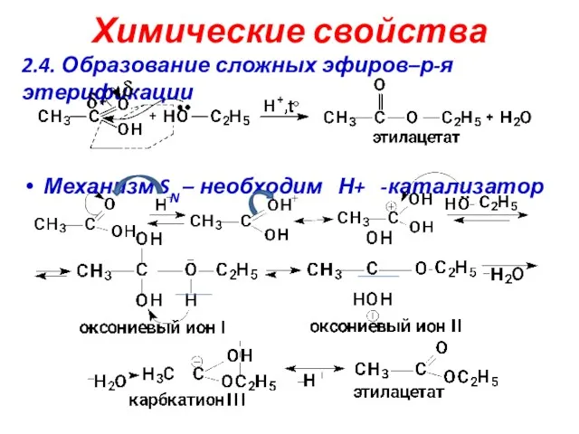 Химические свойства 2.4. Образование сложных эфиров–р-я этерификации Механизм SN – необходим Н+ -катализатор