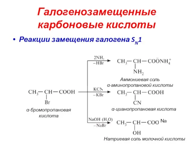 Галогенозамещенные карбоновые кислоты Реакции замещения галогена SN1 Аммониевая соль α-аминопропановой