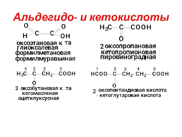 Альдегидо- и кетокислоты