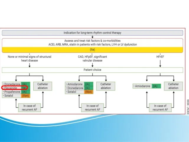 Long-term rhythm control therapy ESC 2020