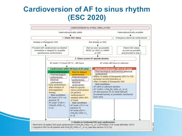 Cardioversion of AF to sinus rhythm (ESC 2020)