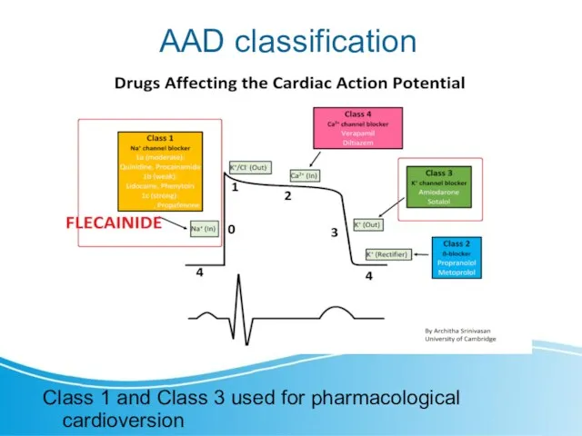 AAD classification Class 1 and Class 3 used for pharmacological cardioversion