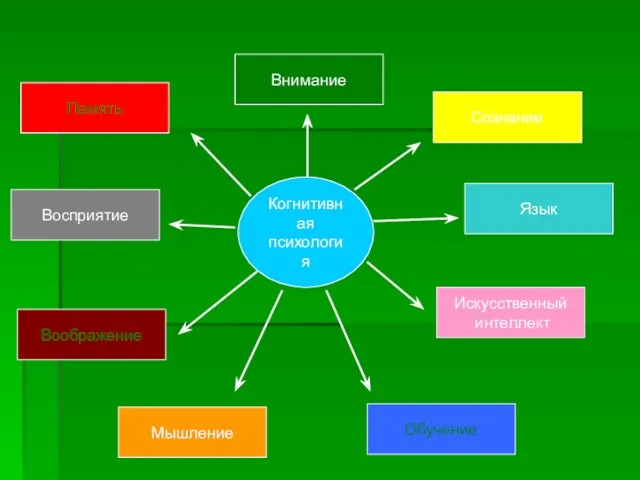 Когнитивная психология Восприятие Внимание Сознание Память Воображение Обучение Язык Мышление Искусственный интеллект
