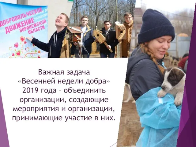 Важная задача «Весенней недели добра» 2019 года – объединить организации,