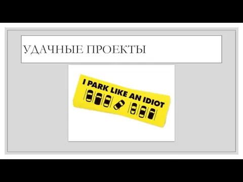 УДАЧНЫЕ ПРОЕКТЫ