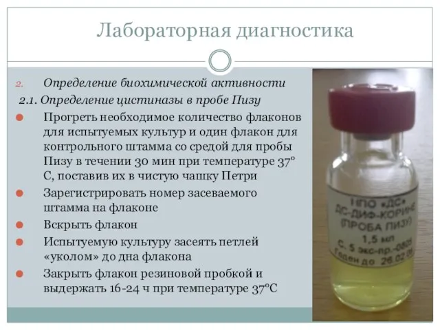 Определение биохимической активности 2.1. Определение цистиназы в пробе Пизу Прогреть