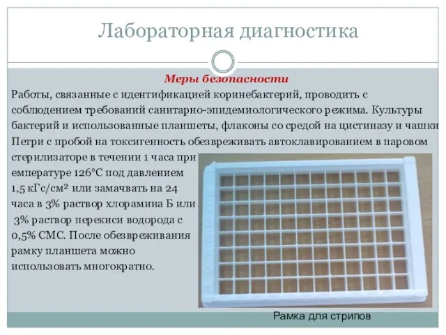 Меры безопасности Работы, связанные с идентификацией коринебактерий, проводить с соблюдением